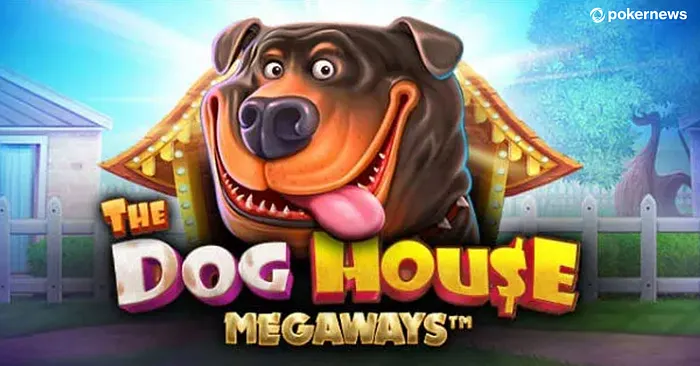 The Dog House Megaways bei Vodds